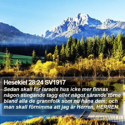 Hesekiel 28:24 SV1917 Bible Verse Image