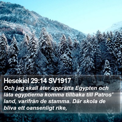 Hesekiel 29:14 SV1917 Bible Verse Image
