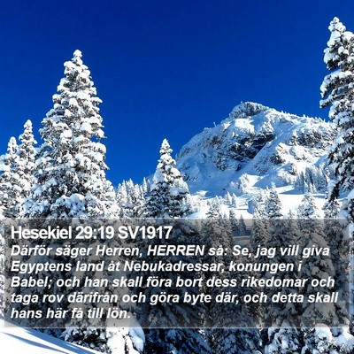 Hesekiel 29:19 SV1917 Bible Verse Image