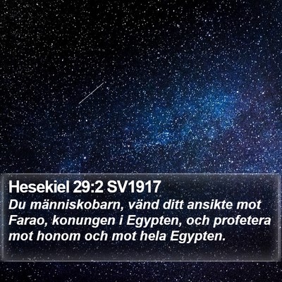 Hesekiel 29:2 SV1917 Bible Verse Image