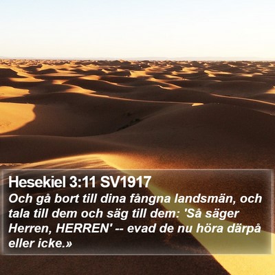 Hesekiel 3:11 SV1917 Bible Verse Image