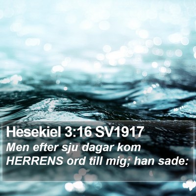 Hesekiel 3:16 SV1917 Bible Verse Image