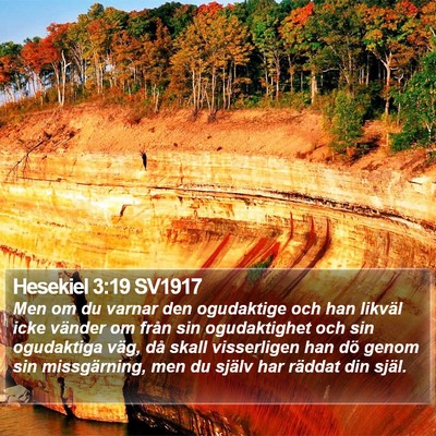 Hesekiel 3:19 SV1917 Bible Verse Image