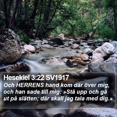 Hesekiel 3:22 SV1917 Bible Verse Image