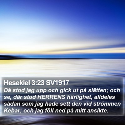 Hesekiel 3:23 SV1917 Bible Verse Image