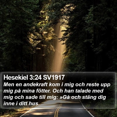 Hesekiel 3:24 SV1917 Bible Verse Image