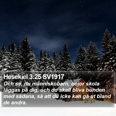 Hesekiel 3:25 SV1917 Bible Verse Image
