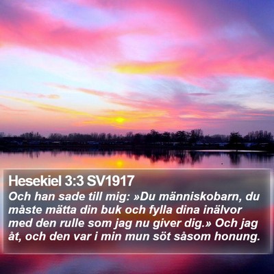 Hesekiel 3:3 SV1917 Bible Verse Image