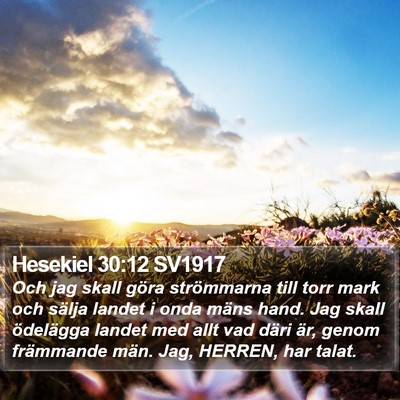 Hesekiel 30:12 SV1917 Bible Verse Image