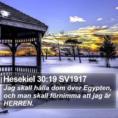 Hesekiel 30:19 SV1917 Bible Verse Image