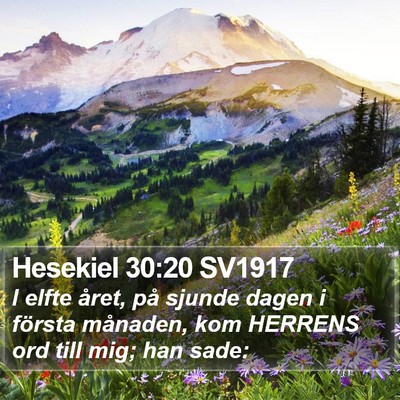 Hesekiel 30:20 SV1917 Bible Verse Image