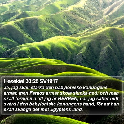 Hesekiel 30:25 SV1917 Bible Verse Image