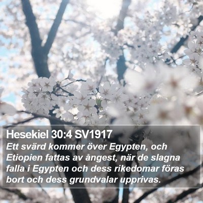 Hesekiel 30:4 SV1917 Bible Verse Image