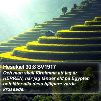 Hesekiel 30:8 SV1917 Bible Verse Image