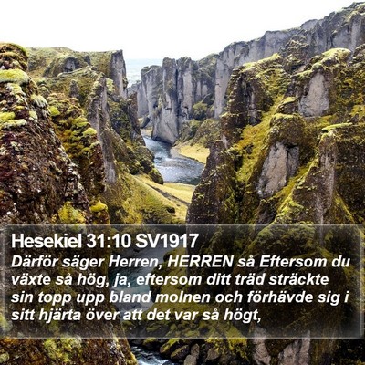 Hesekiel 31:10 SV1917 Bible Verse Image