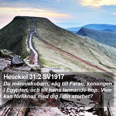 Hesekiel 31:2 SV1917 Bible Verse Image