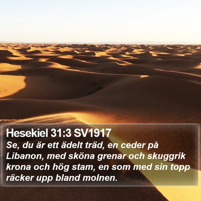 Hesekiel 31:3 SV1917 Bible Verse Image
