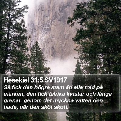 Hesekiel 31:5 SV1917 Bible Verse Image