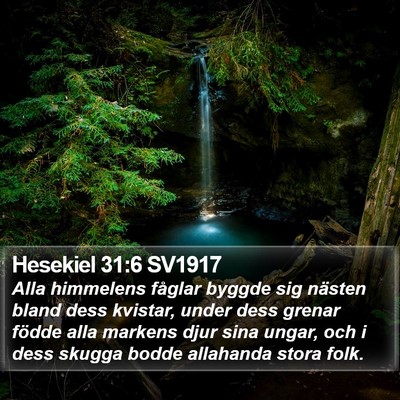 Hesekiel 31:6 SV1917 Bible Verse Image