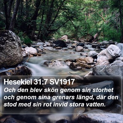 Hesekiel 31:7 SV1917 Bible Verse Image