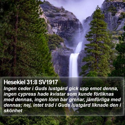 Hesekiel 31:8 SV1917 Bible Verse Image