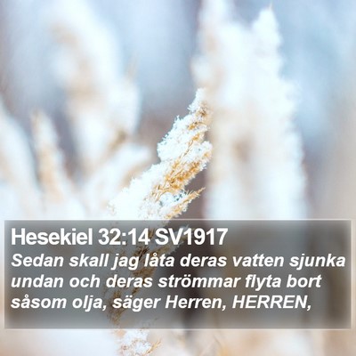 Hesekiel 32:14 SV1917 Bible Verse Image