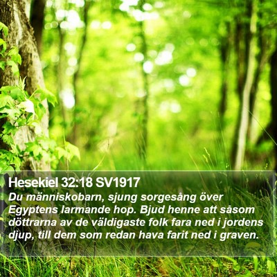 Hesekiel 32:18 SV1917 Bible Verse Image