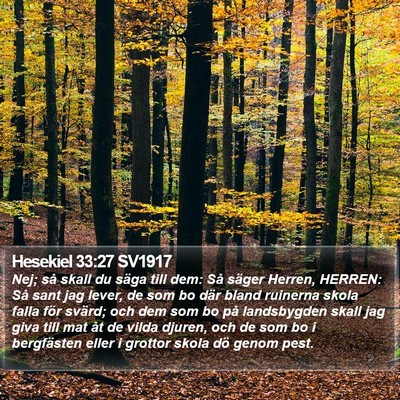 Hesekiel 33:27 SV1917 Bible Verse Image