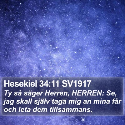 Hesekiel 34:11 SV1917 Bible Verse Image