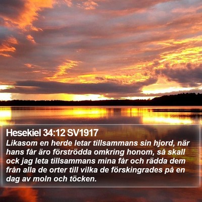 Hesekiel 34:12 SV1917 Bible Verse Image