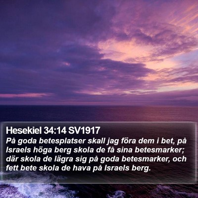 Hesekiel 34:14 SV1917 Bible Verse Image