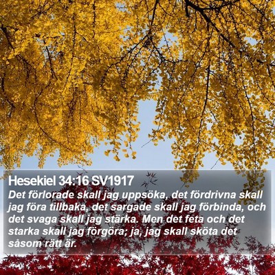 Hesekiel 34:16 SV1917 Bible Verse Image