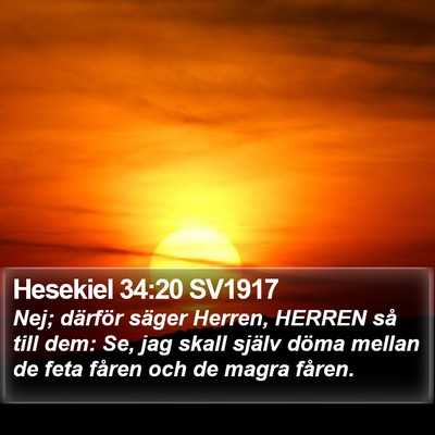 Hesekiel 34:20 SV1917 Bible Verse Image