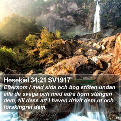 Hesekiel 34:21 SV1917 Bible Verse Image