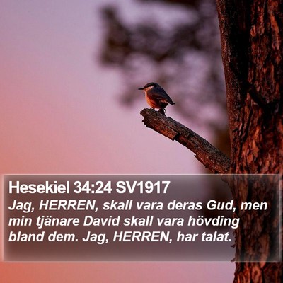 Hesekiel 34:24 SV1917 Bible Verse Image