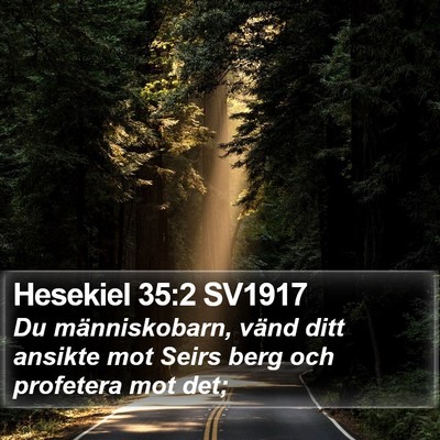 Hesekiel 35:2 SV1917 Bible Verse Image