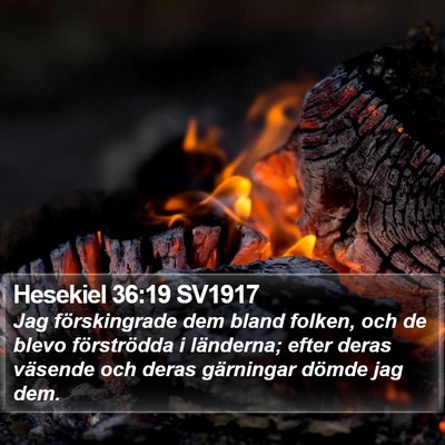 Hesekiel 36:19 SV1917 Bible Verse Image