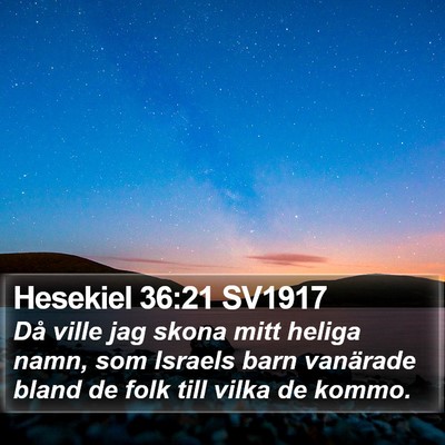 Hesekiel 36:21 SV1917 Bible Verse Image