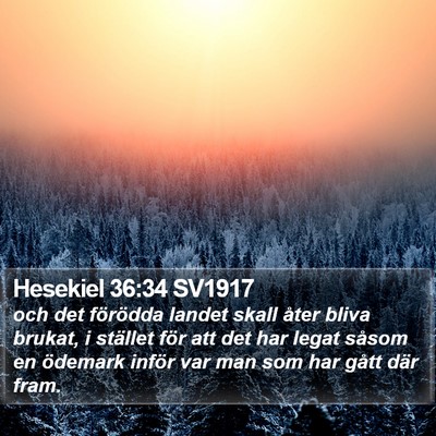 Hesekiel 36:34 SV1917 Bible Verse Image
