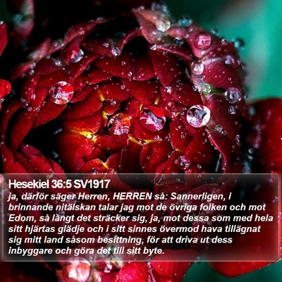 Hesekiel 36:5 SV1917 Bible Verse Image
