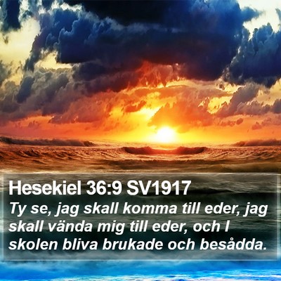 Hesekiel 36:9 SV1917 Bible Verse Image
