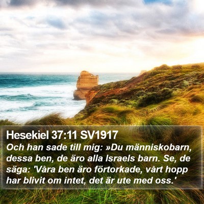 Hesekiel 37:11 SV1917 Bible Verse Image