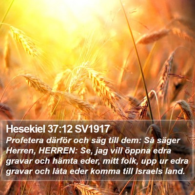 Hesekiel 37:12 SV1917 Bible Verse Image