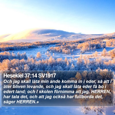 Hesekiel 37:14 SV1917 Bible Verse Image