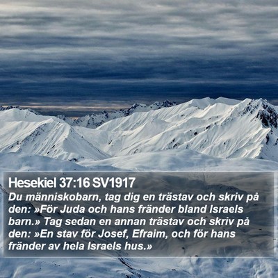 Hesekiel 37:16 SV1917 Bible Verse Image