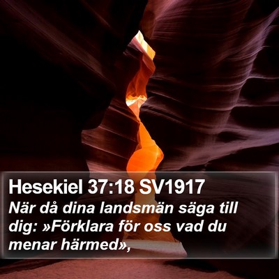 Hesekiel 37:18 SV1917 Bible Verse Image