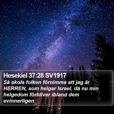 Hesekiel 37:28 SV1917 Bible Verse Image