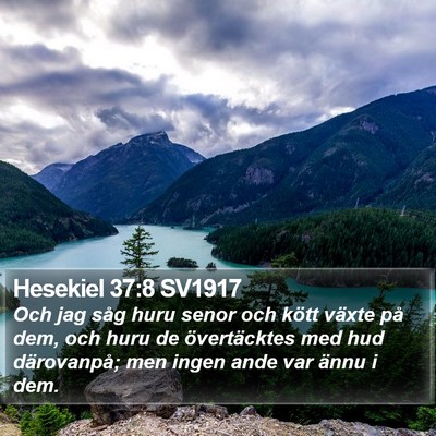 Hesekiel 37:8 SV1917 Bible Verse Image