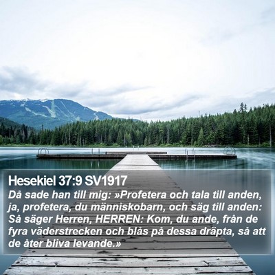 Hesekiel 37:9 SV1917 Bible Verse Image