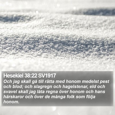 Hesekiel 38:22 SV1917 Bible Verse Image